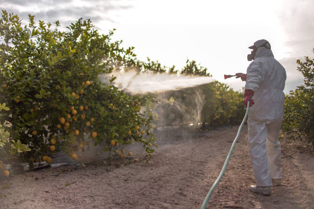 Best Pest Prevention Services  in Kittanning, PA
