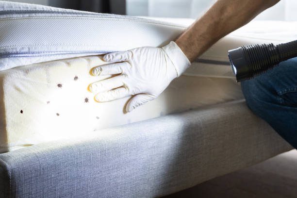 Best Insect Control  in Kittanning, PA