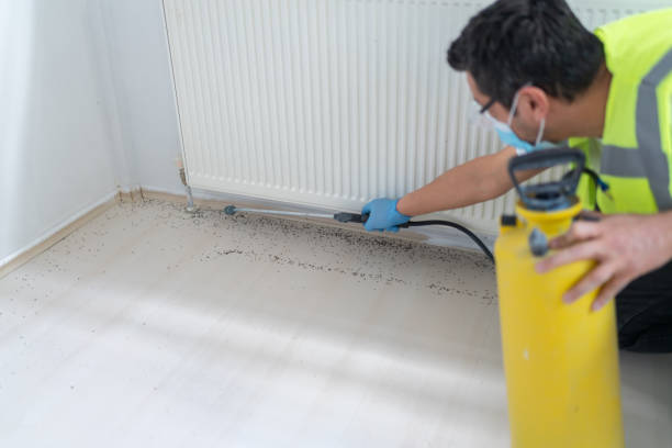 Best Exterminator Services  in Kittanning, PA